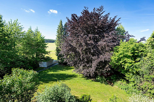 Ländliche Ruhe in urbanem Umfeld! Gut geschnittenes, renovierungsbedürftiges Zweifamilienhaus - Bild 3675592