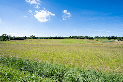 Ländliche Ruhe in urbanem Umfeld! Gut geschnittenes, renovierungsbedürftiges Zweifamilienhaus - Bild 3675592