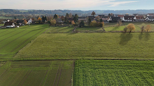Eine Investition in die Zukunft! Schön gelegenes "Bauerwartungsland" in der Gemeinde Haag - Bild 4542949