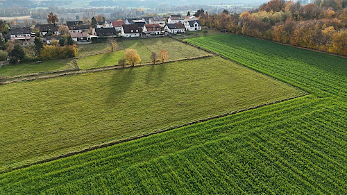 Eine Investition in die Zukunft! Schön gelegenes "Bauerwartungsland" in der Gemeinde Haag - Bild 4542949