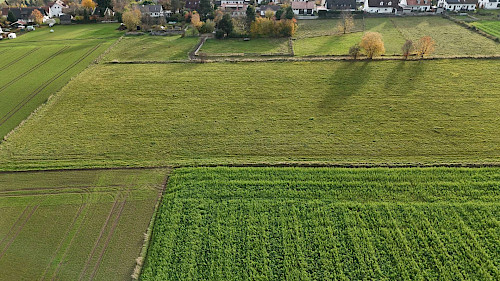 Eine Investition in die Zukunft! Schön gelegenes "Bauerwartungsland" in der Gemeinde Haag - Bild 4542949