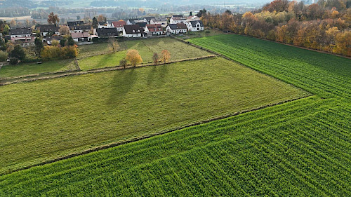 Eine Investition in die Zukunft! Schön gelegenes "Bauerwartungsland" in der Gemeinde Haag - Bild 4634861