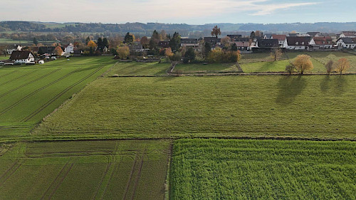Eine Investition in die Zukunft! Schön gelegenes "Bauerwartungsland" in der Gemeinde Haag - Bild 4634861
