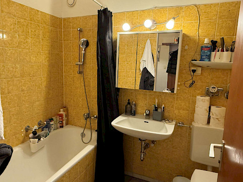 Ideale Kapitalanlage! Geräumiges 1-Zimmer-Apartment mit Ost-Balkon - Bild 4630454