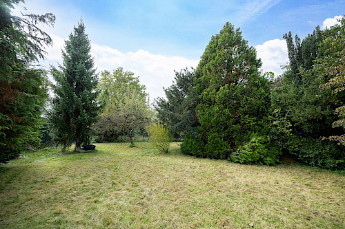 Darf es mehr Garten sein? Charmante Doppelhaushälfte mit historischem Gartenstadtcharakter - Bild 4445601