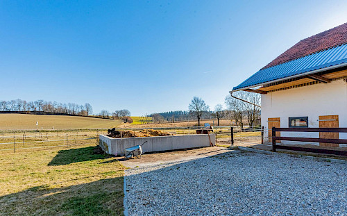 Landliebe! Atemberaubende 2-Zimmer-Maisonette-Wohnung nahe Au/Hallertau - Bild 5513639