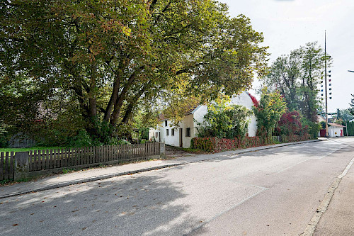Hier steckt Potential! Schön gelegenes Baugrundstück mit genehmigtem Vorbescheid für 6 Reihenhäuser - Bild 6209505